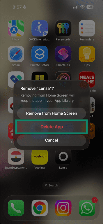 iPhone confirmation screen with