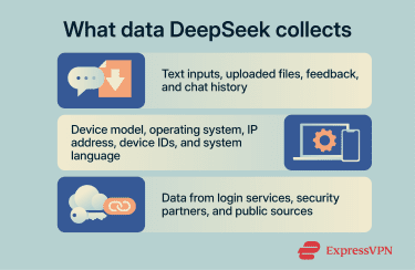 The type of data DeepSeek collects