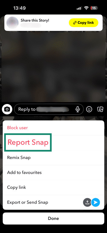 Snapchat story options panel showing