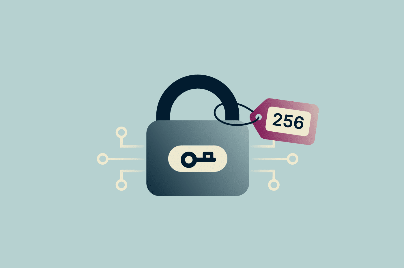 256-bit encryption