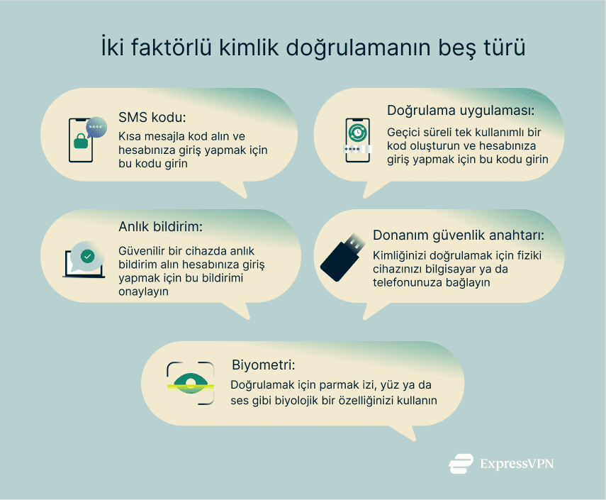 Illustration 5 Types Tr 2