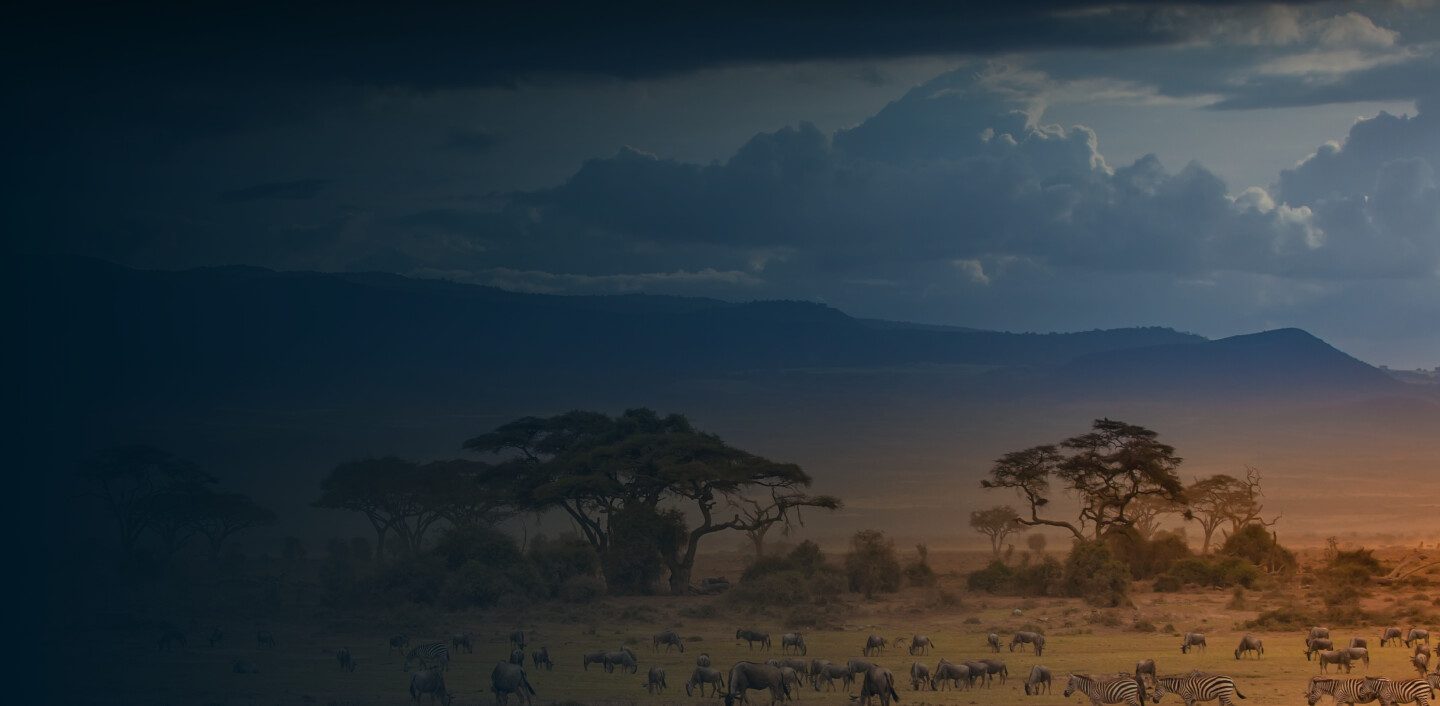 Kenya Server Desktop