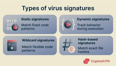 Infographic showing the types of virus signatures.